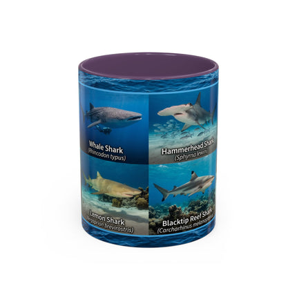 11 oz Shark Species Accent Coffee Mug — Ocean Sharks Identification