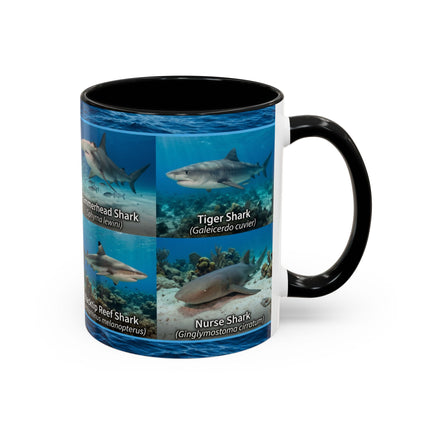 11 oz Shark Species Accent Coffee Mug — Ocean Sharks Identification