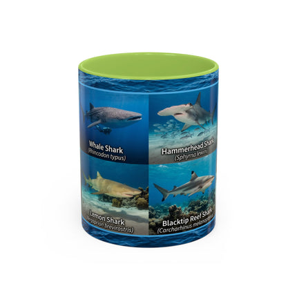 11 oz Shark Species Accent Coffee Mug — Ocean Sharks Identification
