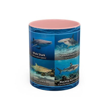 11 oz Shark Species Accent Coffee Mug — Ocean Sharks Identification