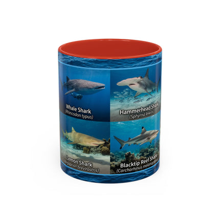 11 oz Shark Species Accent Coffee Mug — Ocean Sharks Identification