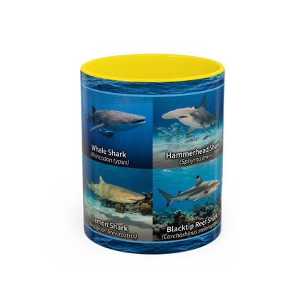 11 oz Shark Species Accent Coffee Mug — Ocean Sharks Identification