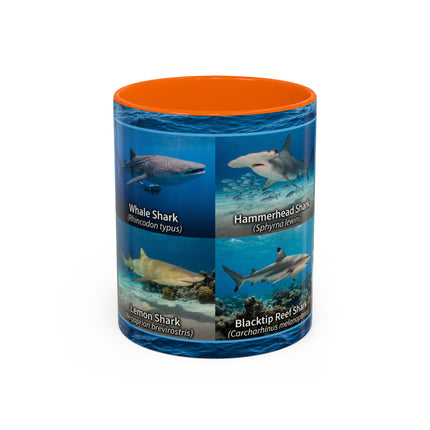 11 oz Shark Species Accent Coffee Mug — Ocean Sharks Identification